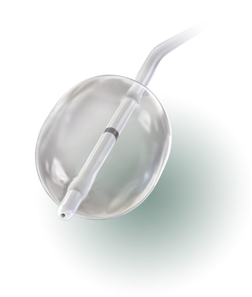 Image of new Z-6 balloon catheter