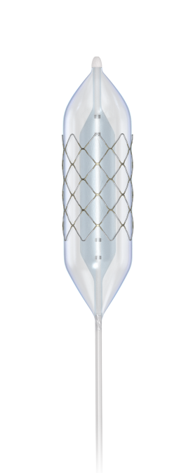 https://www.numedforchildren.com/sites/default/files/styles/product_hero/public/2021-07/NEW%20Uncovered-stent-and-ballon-v2f%20Feb%202021.png?itok=Fsy6zxEu